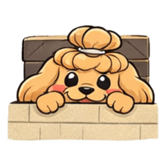 小狗日常～貴賓狗