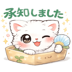 katttter_20260213215813