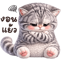 ❤️ปลาทู แมวสลิดตัวตึง❤️