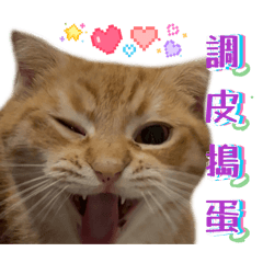 嬌老大閃亮初登場✨