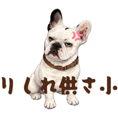 法鬥大新媽媽的抓狂日常