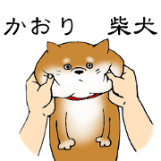 kaori shibainu