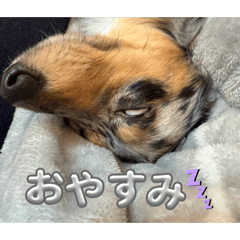 SAYURI_20260214172714