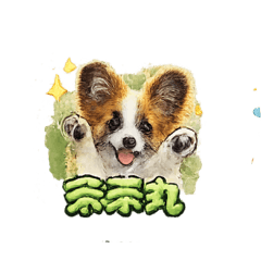 nokkochin_20260214131845