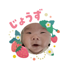 shino_20260214141836