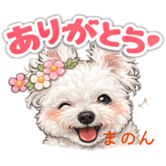 S.parman_20260214142149