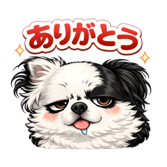 choco&pu_20260214173400