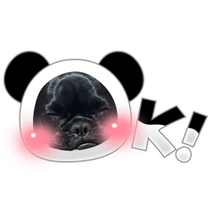 AkiYao_20260214173912