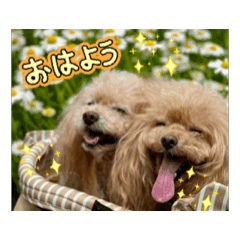 monanoa_20260214175821