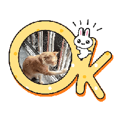 Ratree Kai yasin_20260214195515