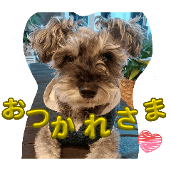 a-chan_20260214181042