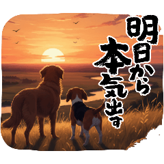 osakedaisuki_20260214190538