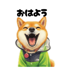 柴犬マロン日常