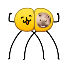 OHIMESAMA_20260214142800