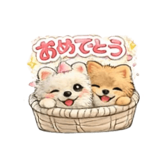 center-island_202602141611