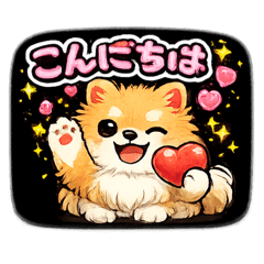 FluffyPomeranian DailyLife