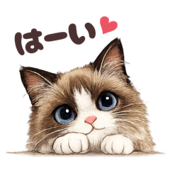 nyan_cota