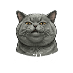yk_20260212001711