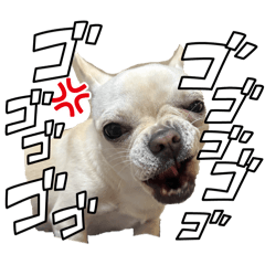 mi_ya_20260214150353