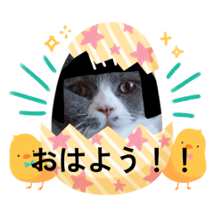 Sasasa_20260214165529