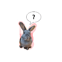 HandM_20260214151859