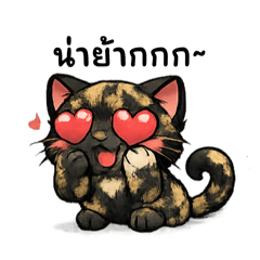 Tanyong555_20260214144844