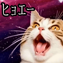 ⚫動く！宇宙猫２４匹セット セリフ付き