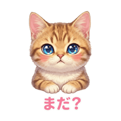 greeting with cat Lala