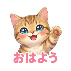 greetings with cat Lala