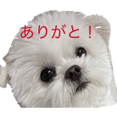 yuto_20260214204241