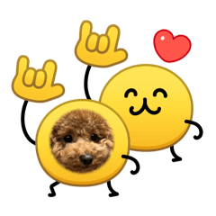 cookie_20260214170702