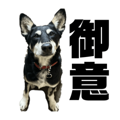 iroha_20260214204355