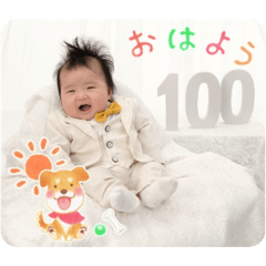 konjac_20260214171206