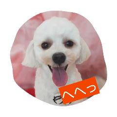 ofuku_20260214170445