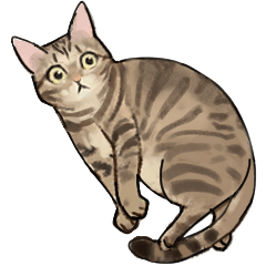 一隻貓梨梨 vol.1