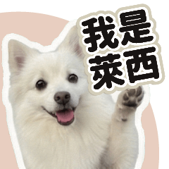 我是萊西-生活篇-