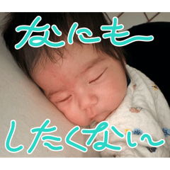 licha_20260214215304