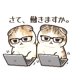 parent cat_20260212092156