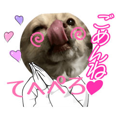 himachan_20260214222731