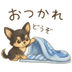 ayachan_20260214211909