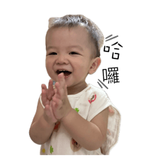 小滷蛋生活日常