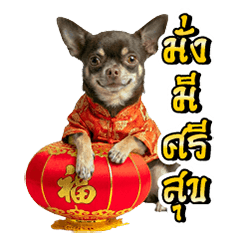 Satang Chinese New Year