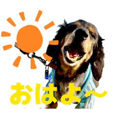 shiori_20260214213553