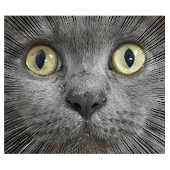 阿蛤與罵丸-第三彈