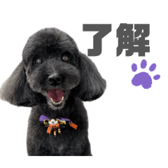 hiiro_20260214221334