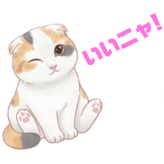 Mugi_20260215001228