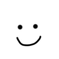 我的脸 MY FACE(低成本)