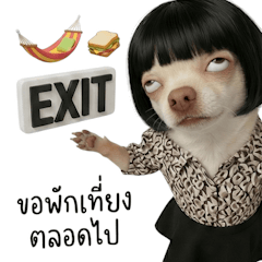 สาวออฟฟิศชิวาว่าหน้าแบ๊ว (BGZ)