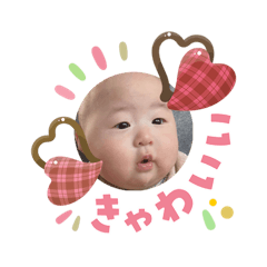 Macaron_20260214224927