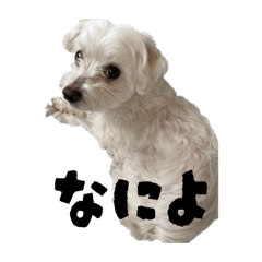 sunechan_20260214230858